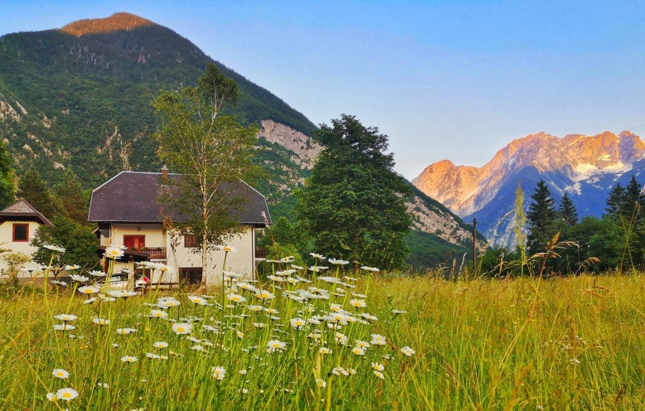 Apartment Jozi Soča Exteriér fotografie