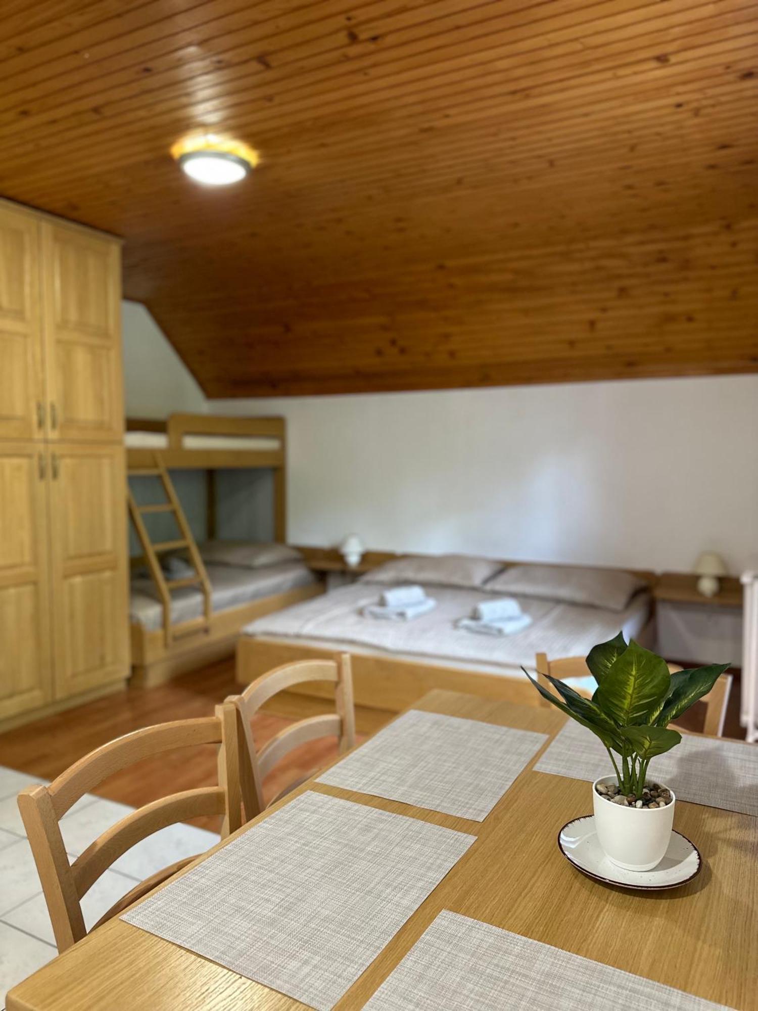 Apartment Jozi Soča Pokoj fotografie