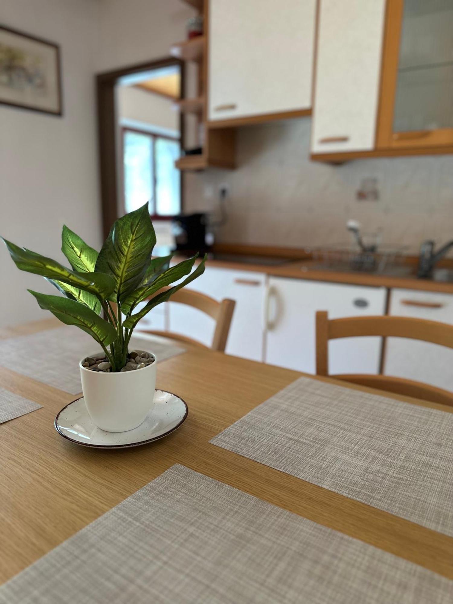 Apartment Jozi Soča Pokoj fotografie