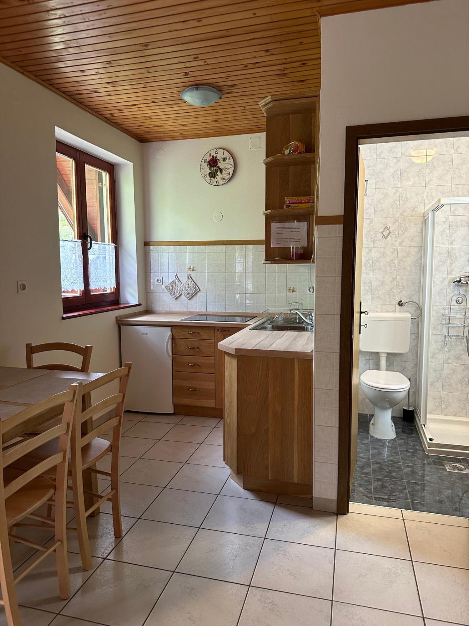 Apartment Jozi Soča Pokoj fotografie